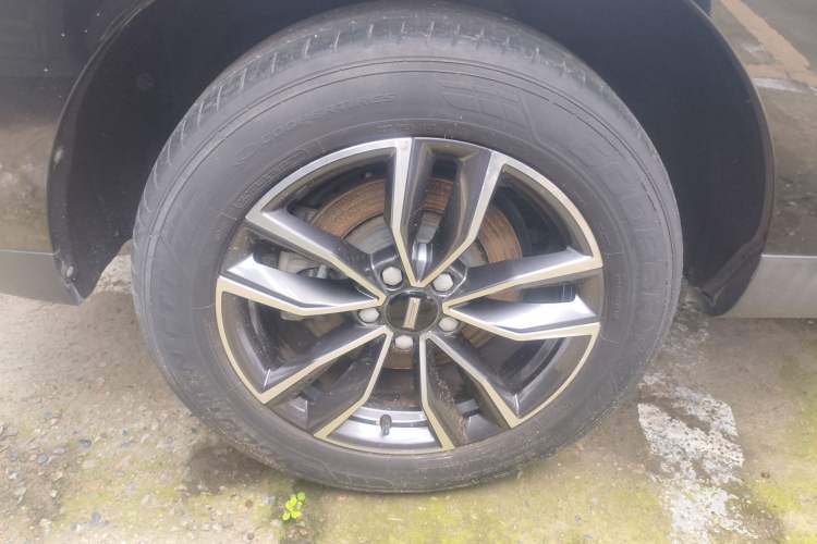 Used Wey VV5 2021 1.5T Two-Wheel Drive Color Pioneer