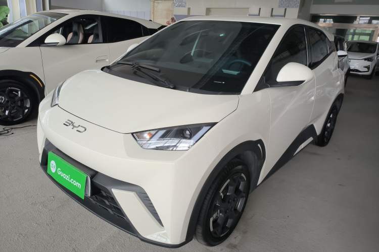 Used BYD Seagull 2025 305 km Free Version