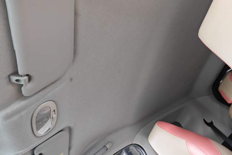 Used Chery New Energy Little Ant 2019 4-Seater Smart Edition 35 kWh Headliner