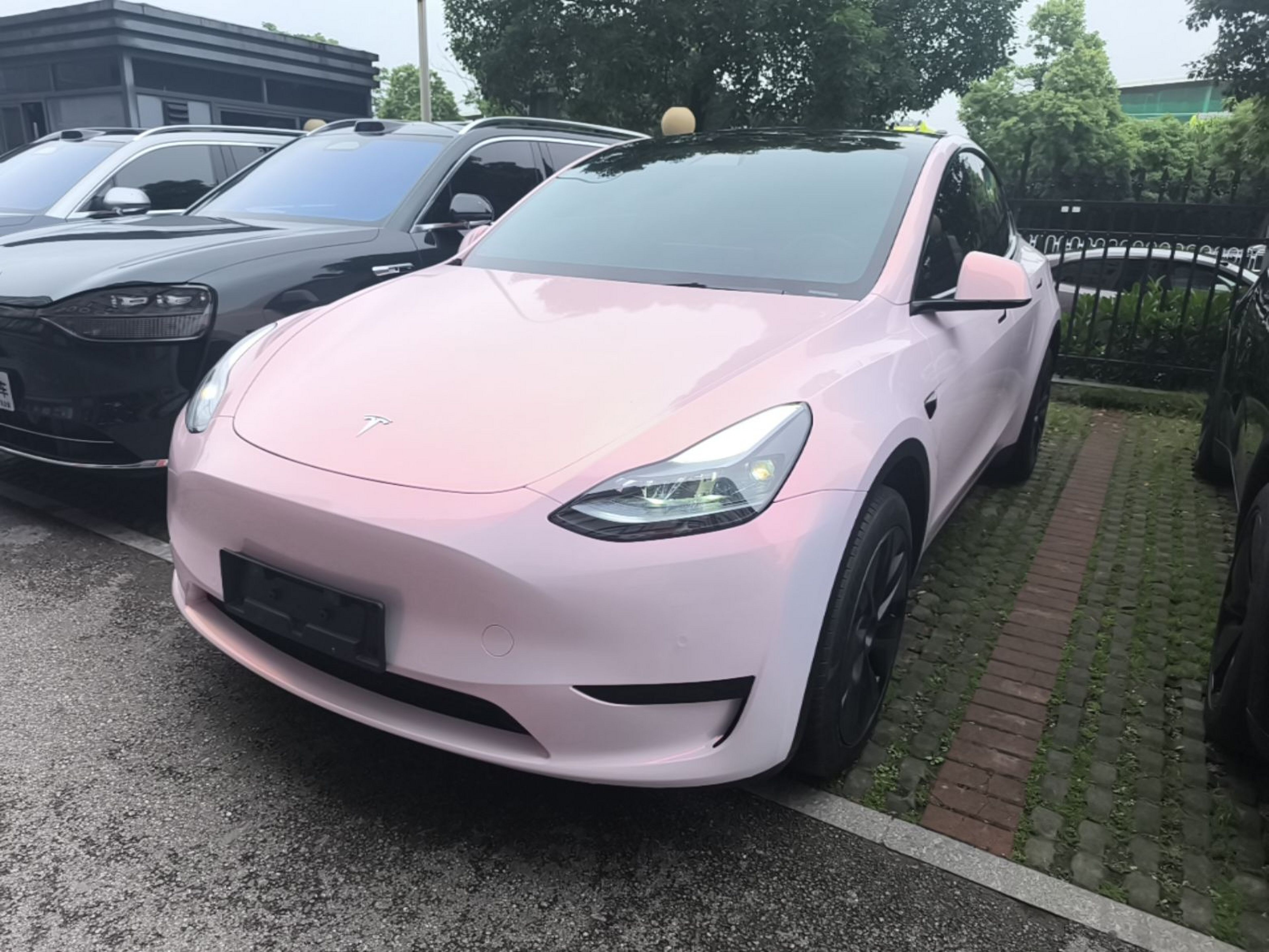 Under Front Bumper