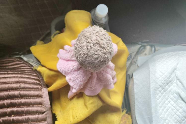 Used CHANGAN KAICHENG Star S460 2009 1.0L Base Version Gear Lever