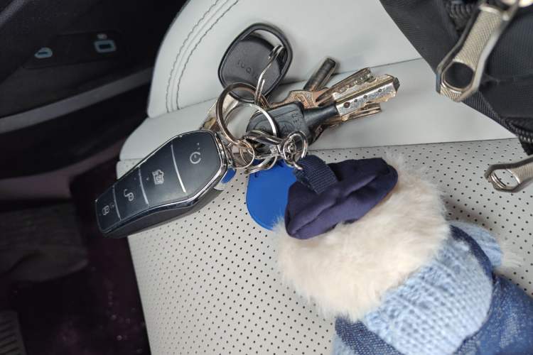 Used BYD Seal 06 New Energy 2024 DM-i 80KM Prestige Model Vehicle Key