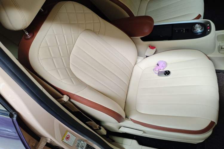 Used ORA Good Cat 2021 400km Standard Range Athena Edition Lithium Iron Phosphate Right Front Seat