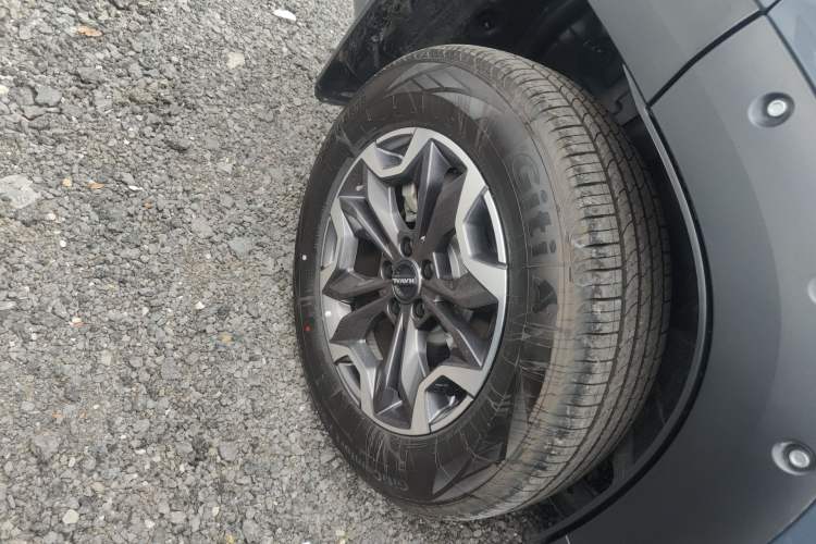 Used Haval DARGO 2024 2.0T DCT Chinese Rural Dog Edition Exterior 5