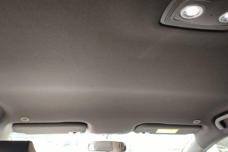 Used BYD Dolphin 2023 420 km Free Version Headliner