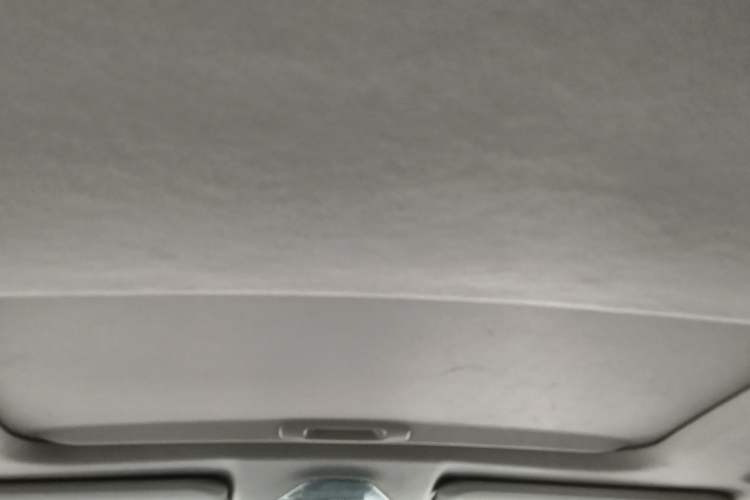 Used Toyota IZOA 2021 2.0L Enjoy Edition Headliner