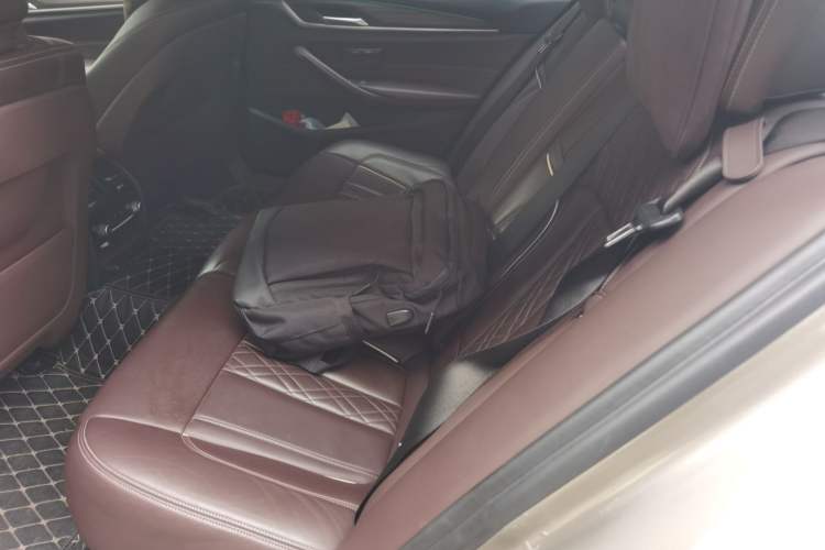 Used BMW 5 Series New Energy 2018 530Le Luxury Package