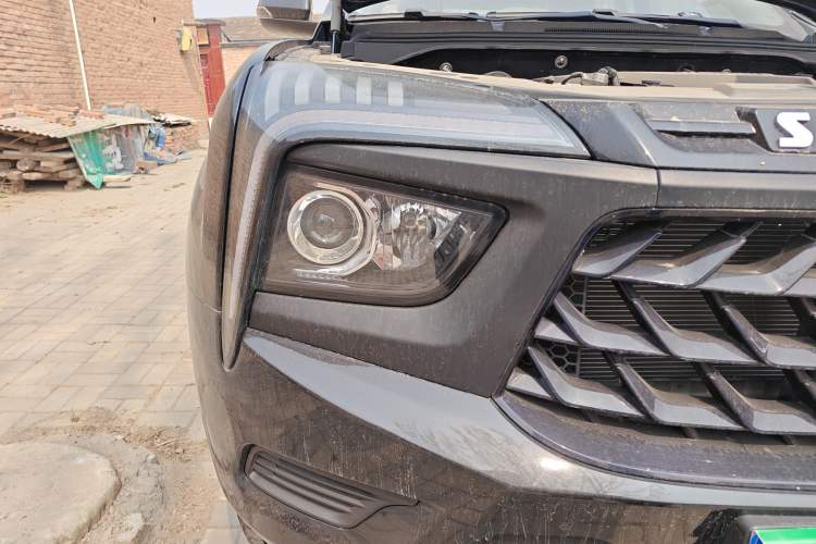 Used Sinotruk BOLDEN 2024 Commercial 2.0T Manual Diesel 4x4 Long Wheelbase Youth Edition