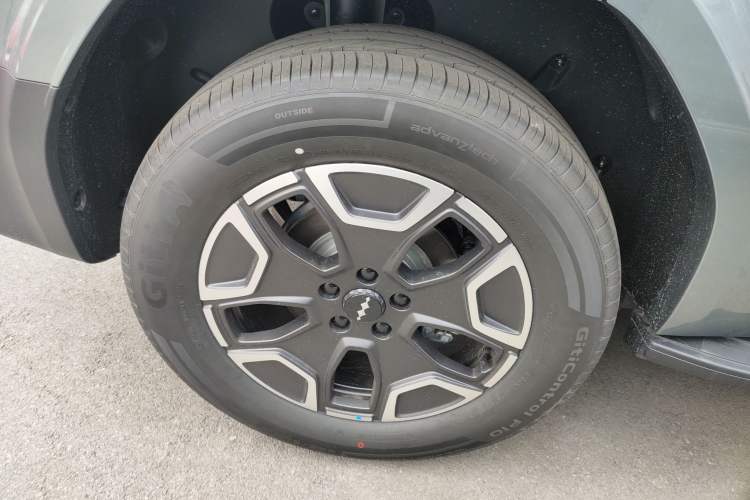 Used Formula Leopard Tai 7 2025 Model 200 km Two-Wheel Drive Max Edition
