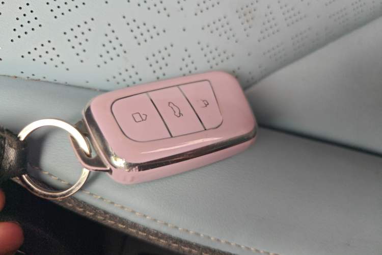 Used Chery QQ Little Ant 2022 Sweet Pink Edition Half-Sugar Version Lithium Iron Phosphate 29.2 kWh 30 kW 301 km Vehicle Key