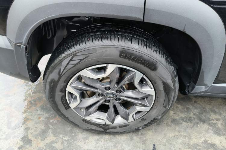 Used Haval DARGO 2024 2.0T DCT Chinese Rural Dog Edition
