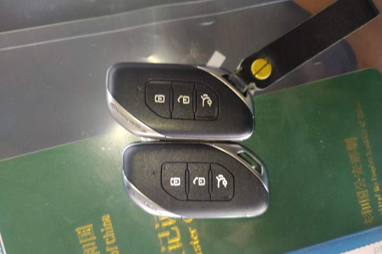 Used FORTHING Yacht 2022 1.5T DCT Yangfan Edition Vehicle Key