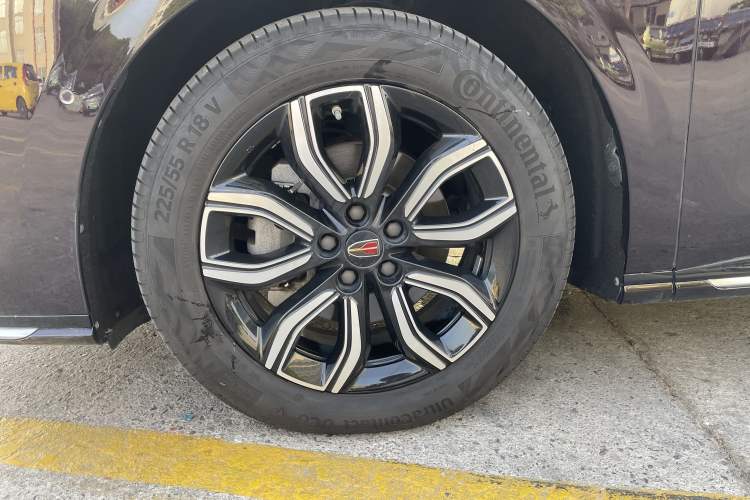 Used Hongqi HQ9 2023 2.0T Smart Connect Flagship Edition