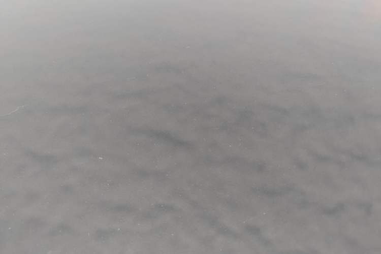 Used Skoda Octavia 2019 1.5L Automatic Smart Drive Luxury Edition China VI Standard
