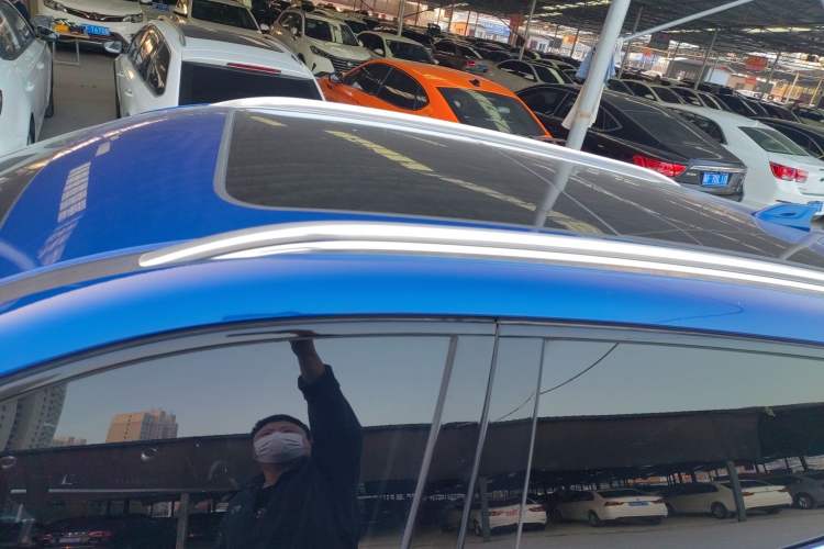 Used Wey P8 2018 2.0T Flagship Model