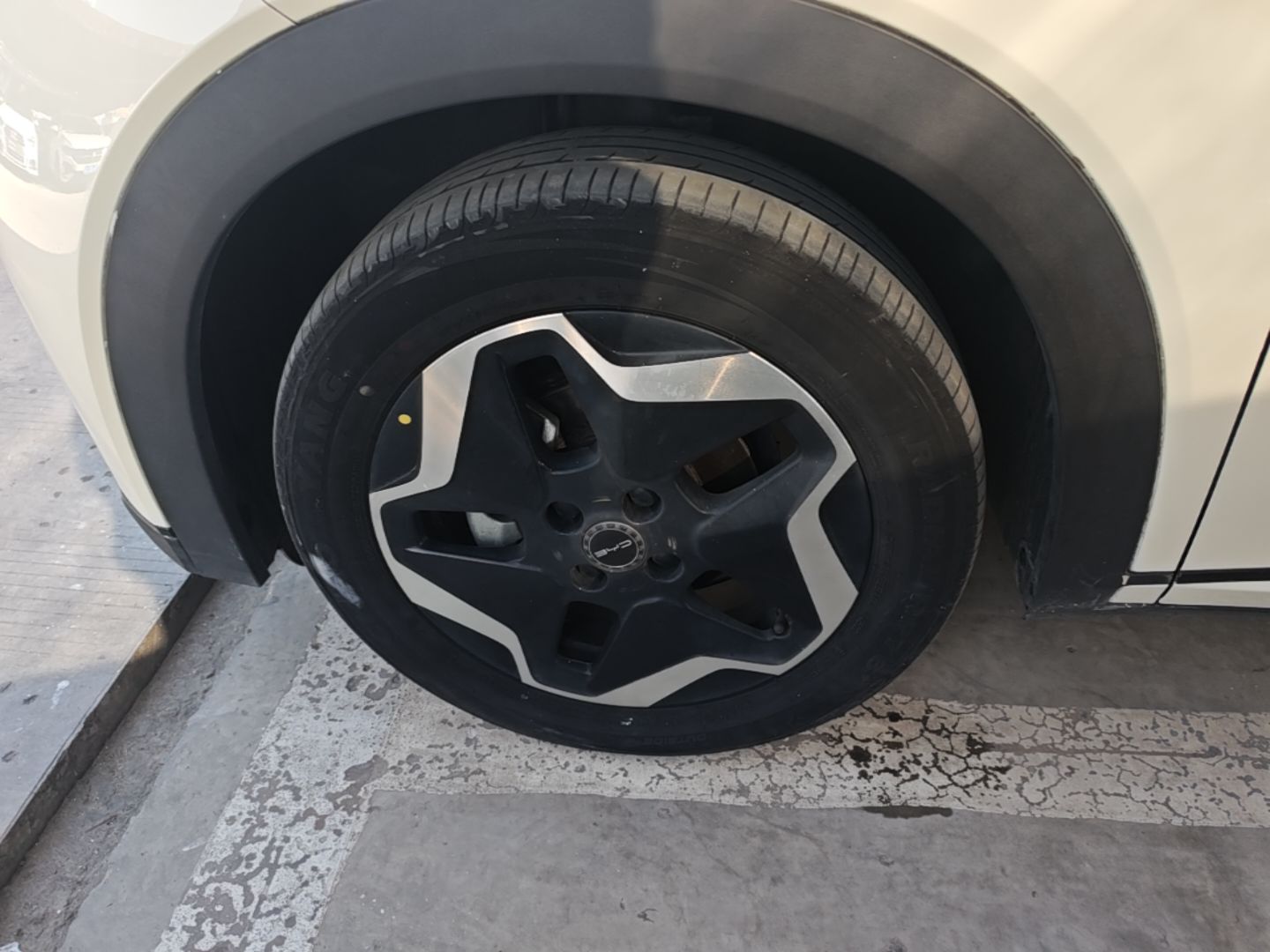 BYD Dolphin 2021 405 km Fashion Edition — снимка 10