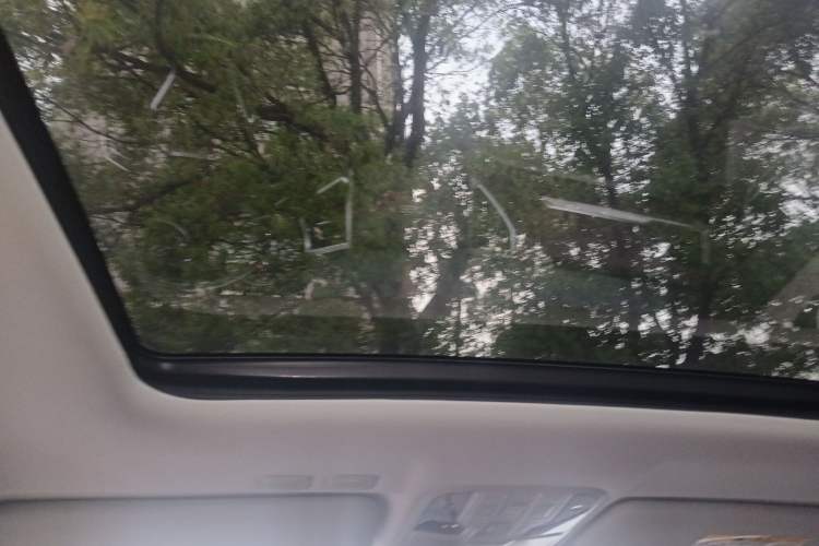 Used Haval H6 Coupe 2019 1.5T Automatic Two-Wheel Drive Luxury Smart Connectivity Version China VI Standard