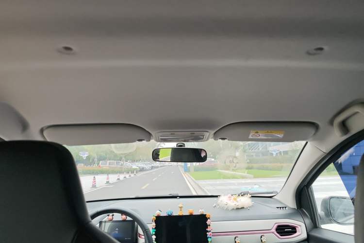 Used SOL E10X 2022 Flower Fairy Style Baby's Breath