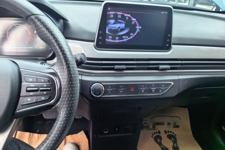 Used Dayun Yuehu 2022 30.66 kWh Two-Wheel Drive VIP Edition
