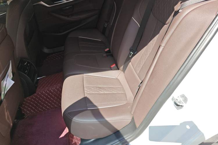 Used BMW 5 Series 2021 530Li Leading Luxury Package Left Rear Seat