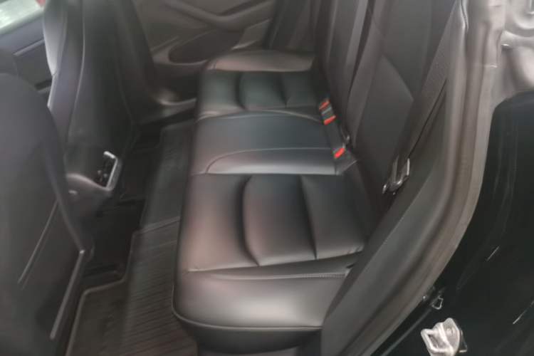 Used Tesla Model 3 2019 Standard Range Rear-Drive Upgraded Version