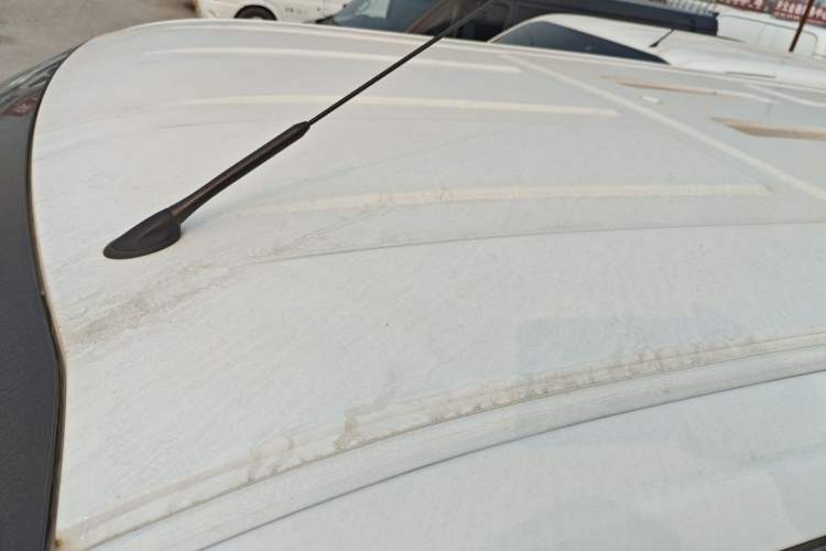 Used Ford Transit 2019 2.0T Diesel Multi-Purpose Commercial Vehicle Short Wheelbase Low Roof 6-Seater China VI Standard
