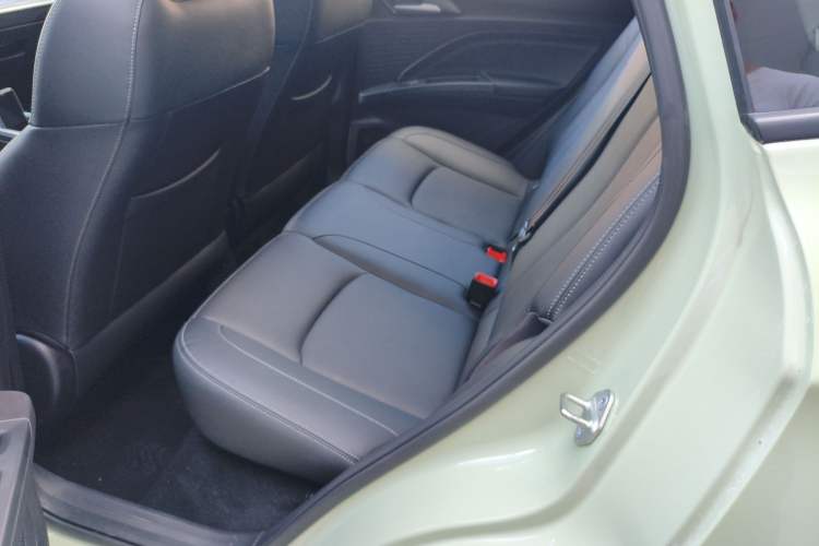 Used NETA AYA 2023 401
