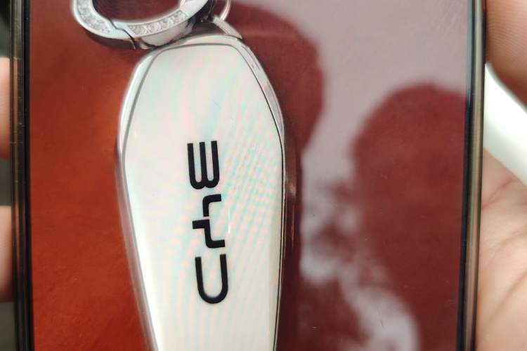 Used BYD Seagull 2025 405 km Flying Edition Vehicle Key