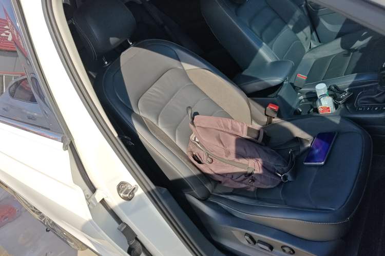 Used Volkswagen Tiguan L 2020 330TSI Automatic Two-Wheel Drive Smart Luxury Edition China VI Standard Right Front Seat