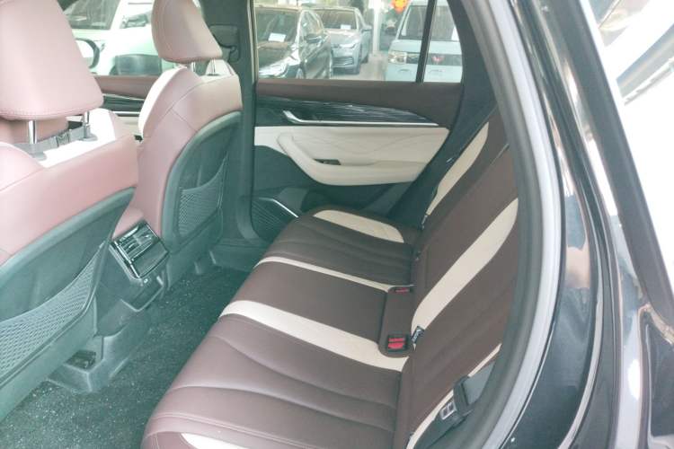 Used Geely Auto Monjaro L 2024 2.0TD High-Power Automatic Two-Wheel Drive Yunqi Version Left Rear Seat