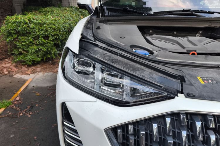 Used Wey Mocha 2021 2.0T Two-Wheel-Drive Premium Edition