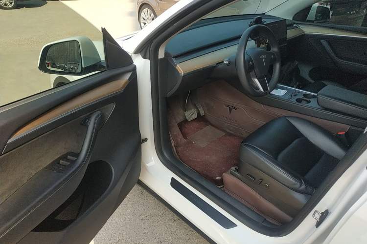 Used Tesla Model Y 2021 Standard Range Rear-Wheel Drive Version
