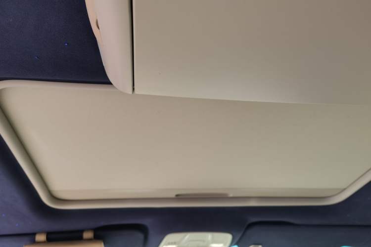 Used Buick GL8 2021 ES Landtrek 653T Comfort Edition Headliner