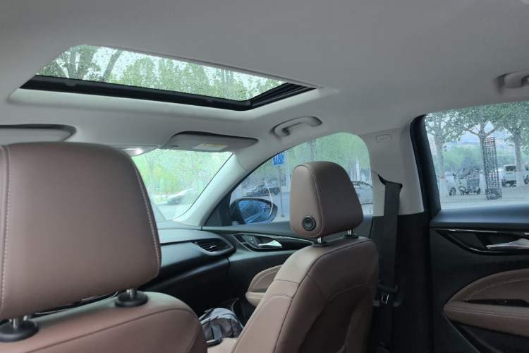 Used Buick Regal 2017 20T Elite Edition Headliner