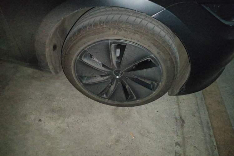 Used Tesla Model 3 2025 Rear-Wheel-Drive Version
