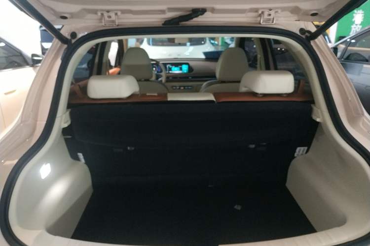 Used ORA Good Cat 2023 401 km Standard Range Premium Version Lithium Iron Phosphate
