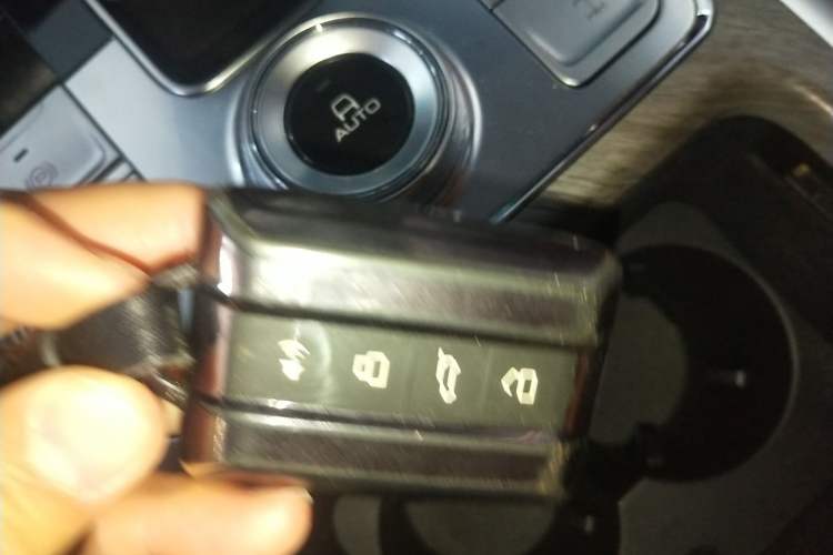 Used Tank 500 2022 3.0T Business Edition "Creation Realm" Design 5-Seater
