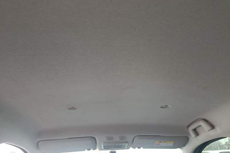 Used ORA Black Cat 2019 351 km Family Edition