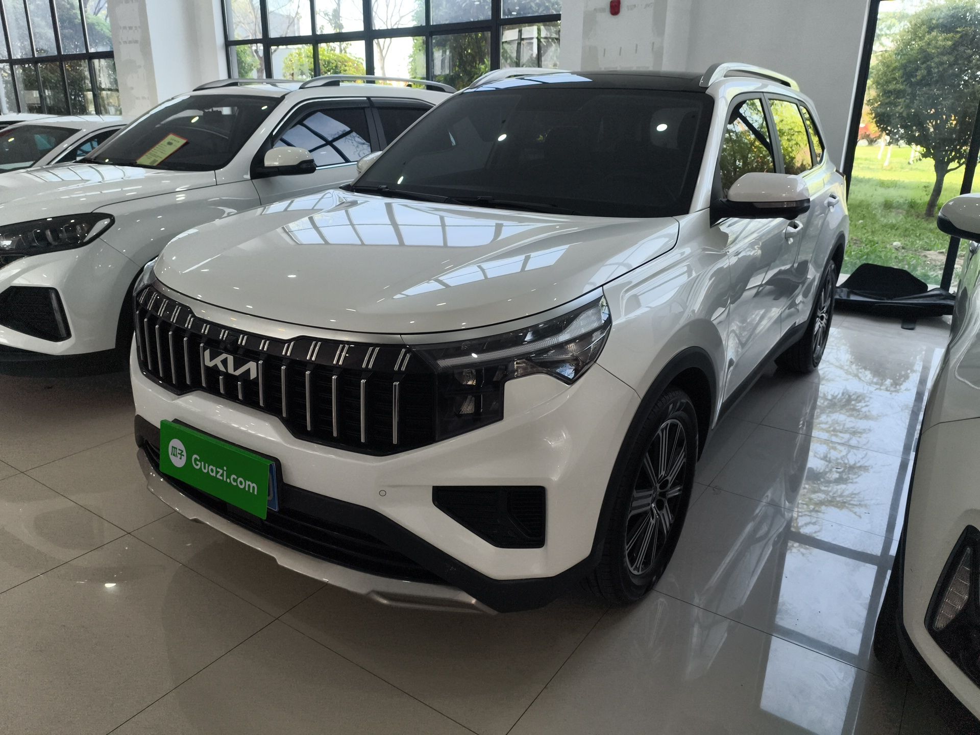 Parte inferior delantera