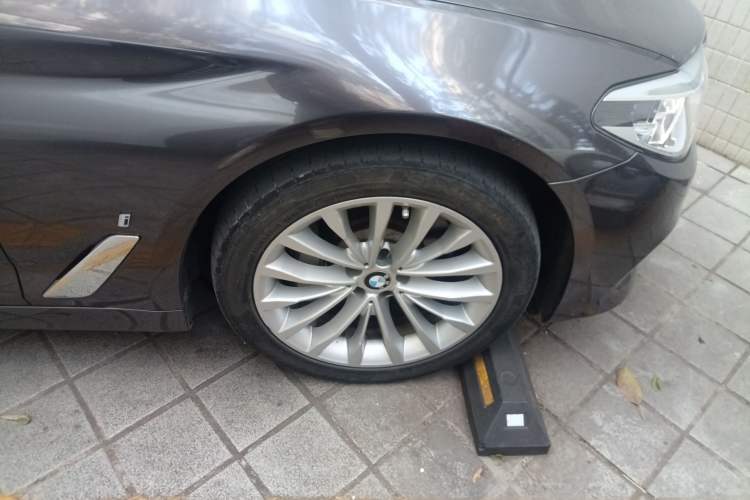 Used BMW 5 Series New Energy 2019 530Le Luxury Package