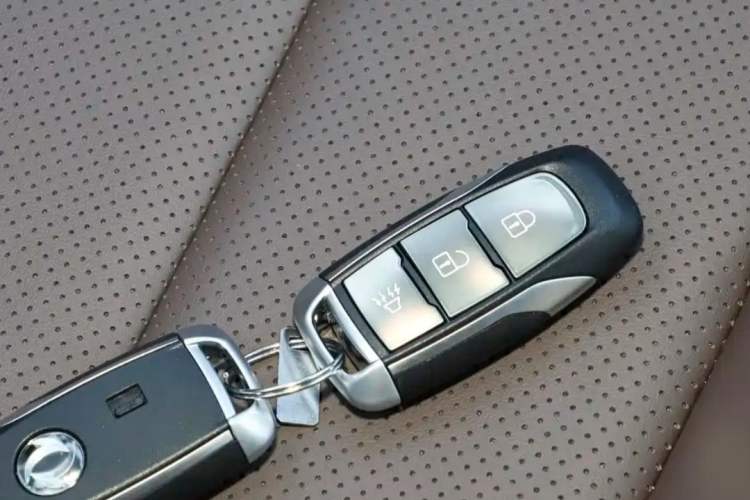 Used Dongfeng Palazzo 2023 2.0T Automatic All-Wheel Drive Prestige Version
