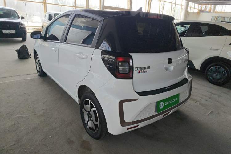 Used SOL E10X 2022 Flower Fairy Design Sunflower