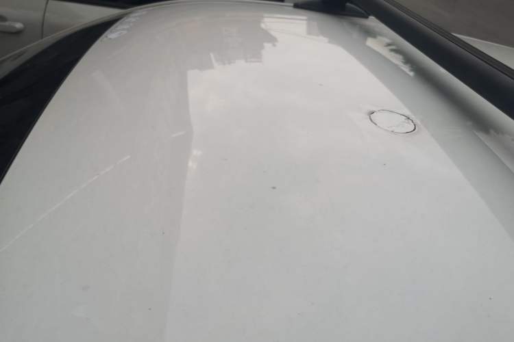 Used ORA Black Cat 2021 301 km Basic Version Roof