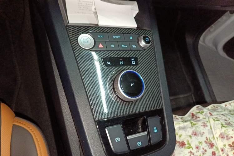 Used BYD e2 2020 Upgraded Version Extended Range Edition Premium Model Gear Lever