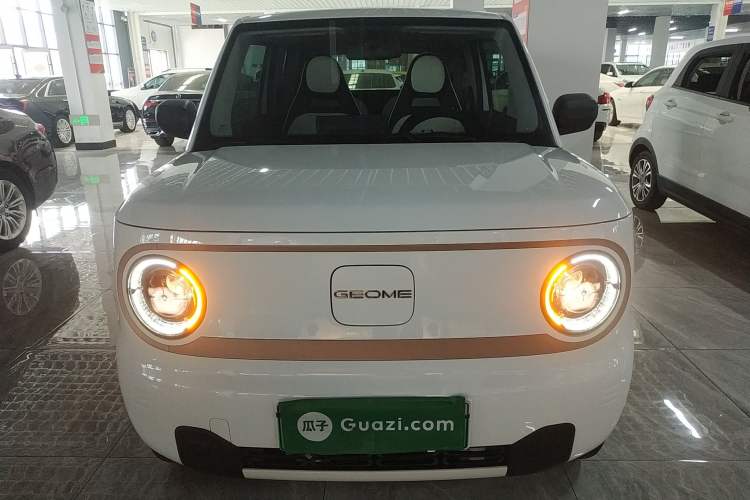 Used Geely Galaxy Panda 2023 Panda Mini 200km Endurance Bear Front