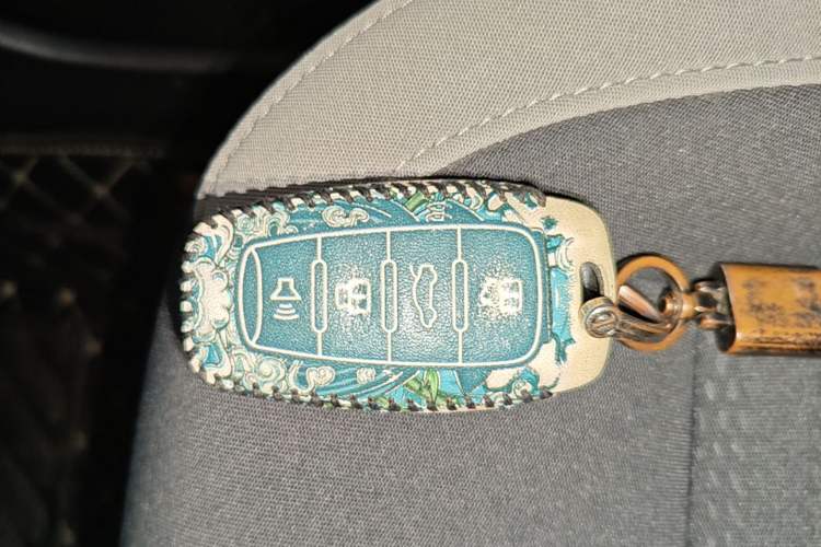 Used ORA White Cat 2020 360 km Luxury Version
