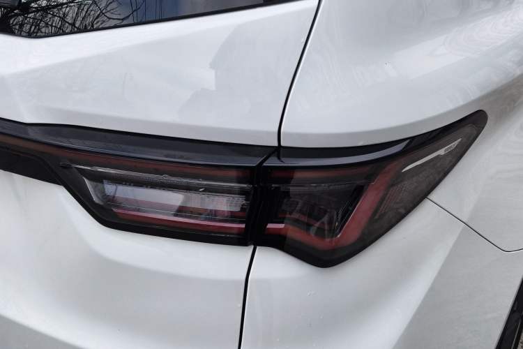 Used Livan Maple 80v L 2024 515 km Range 7 Seats
