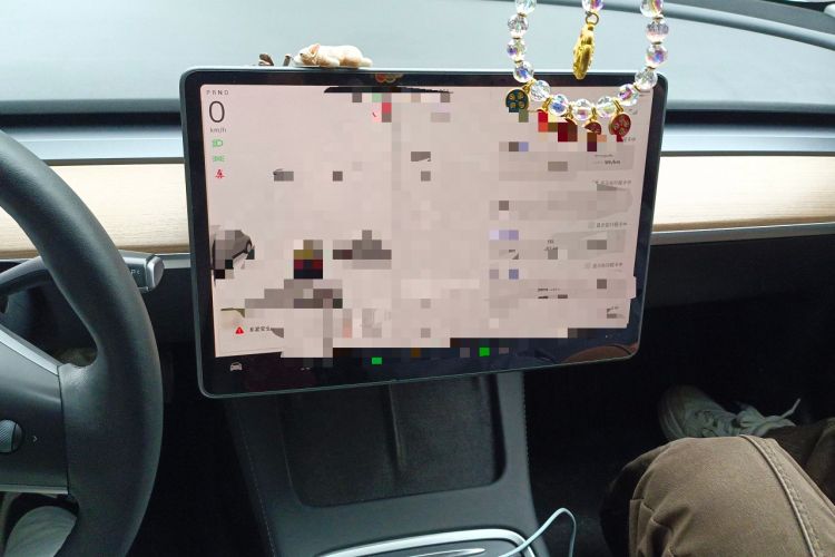 Used Tesla Model 3 2022 Rear-Wheel-Drive Version
