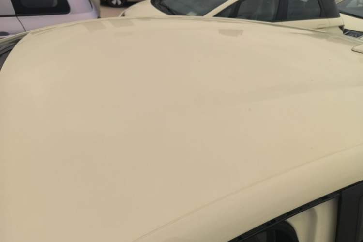 Used BYD Dolphin 2025 420km Free Edition