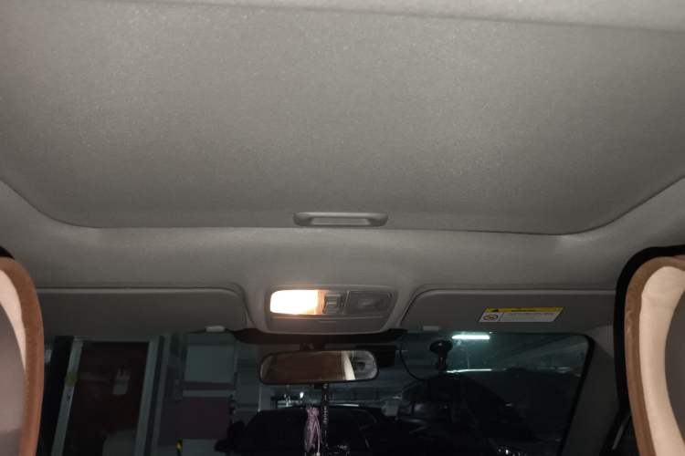 Used Hyundai Elantra EV 2017 GS PLUS Edition Headliner